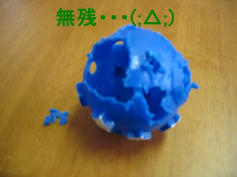 画像 702 Web 表示用 (中).jpg