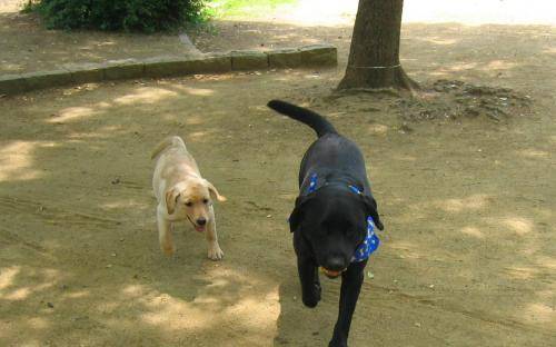 公園01.jpg