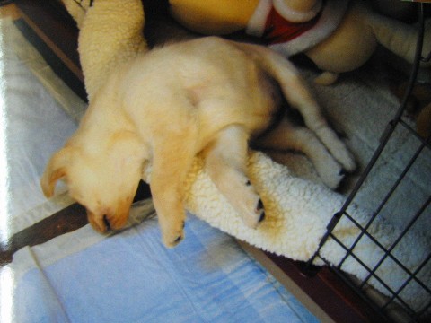 画像 865 Web 表示用 (中).jpg