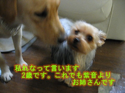 画像 623 Web 表示用 (中).jpg