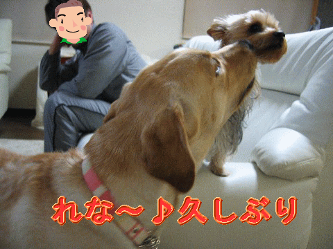 画像 626 Web 表示用 (中).gif