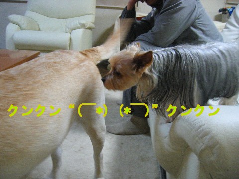 画像 624 Web 表示用 (中).jpg