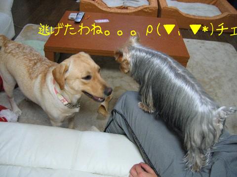 画像 657 Web 表示用 (中).jpg