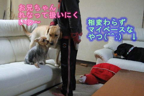 画像 662 Web 表示用 (中).jpg