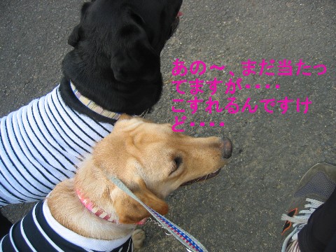 画像 258 Web 表示用 (中).jpg