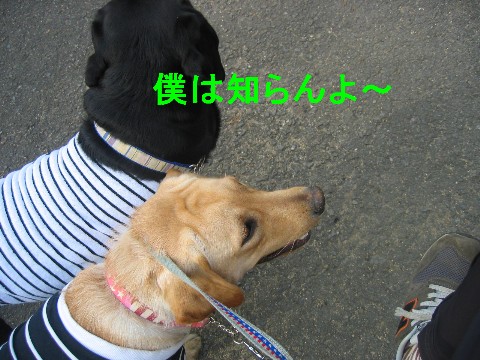 画像 259 Web 表示用 (中).jpg
