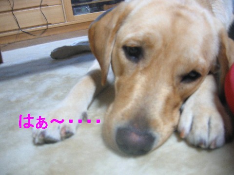 画像 313 Web.jpg