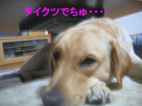 画像 252 Web 表示用 (中).jpg