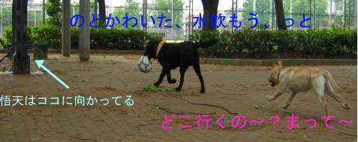 広場に.jpg