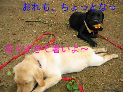 休憩.jpg