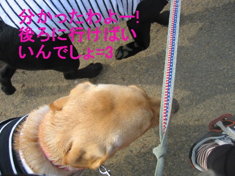 画像 262 Web 表示用 (中).jpg
