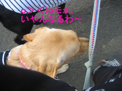画像 263 Web 表示用 (中).jpg