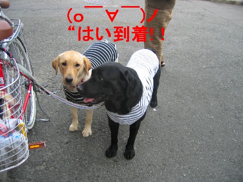 画像 264 Web 表示用 (中).jpg