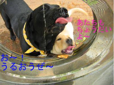 広場水1.jpg