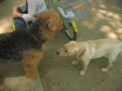 公園16.jpg