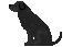 image2531.gif