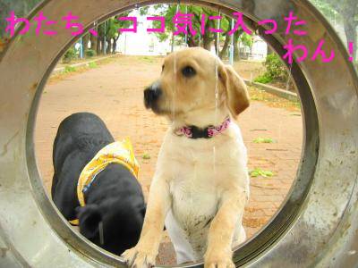 お水3.jpg