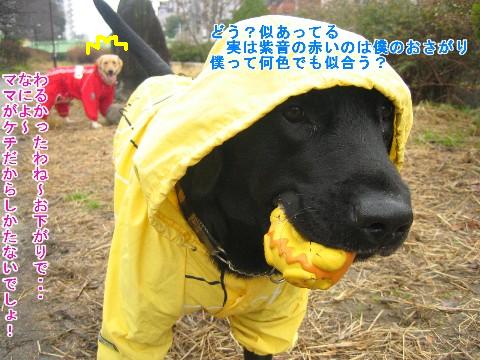 画像 411 Web 表示用 (中).jpg