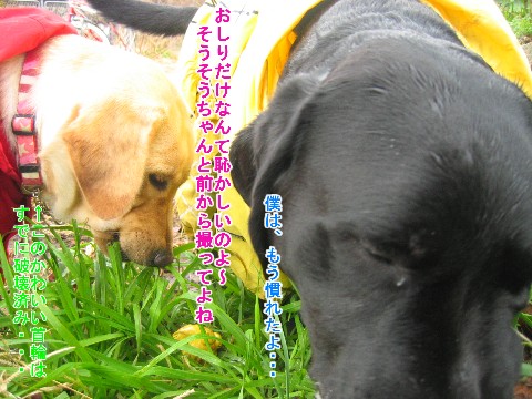 画像 405 Web 表示用 (中).jpg