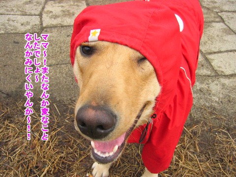 画像 414 Web 表示用 (中).jpg