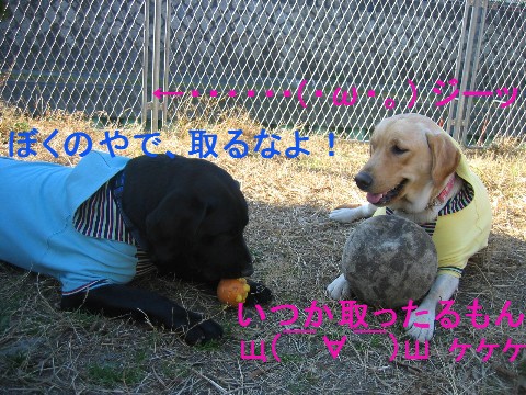 画像 575 Web 表示用 (中) Web 表示用 (中).jpg