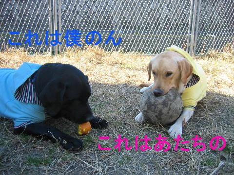 画像 574 Web 表示用 (中) Web 表示用 (中).jpg