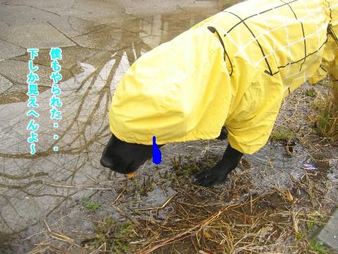 画像 418 Web 表示用 (中).jpg