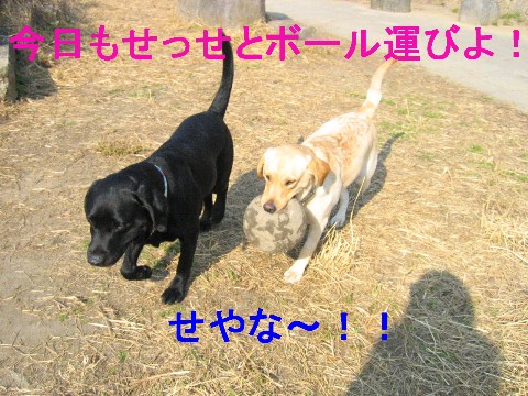 画像 712 Web 表示用 (中).jpg