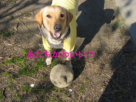 画像 556 Web 表示用 (中) Web 表示用 (中).jpg