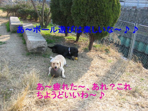 画像 740 Web 表示用 (中).jpg