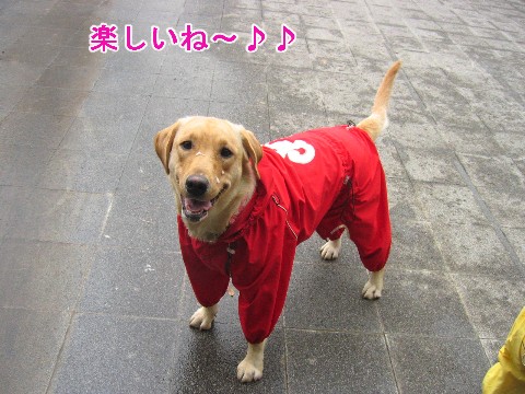 画像 383 Web 表示用 (中).jpg