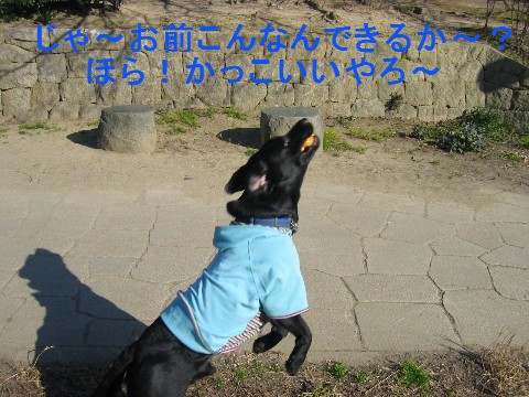 画像 560 Web 表示用 (中) Web 表示用 (中).jpg