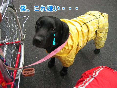 画像 056 Web 表示用 (中).jpg