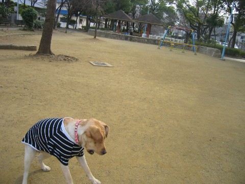 画像 243 Web 表示用 (中).jpg