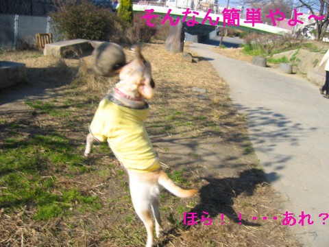 画像 563 Web 表示用 (中) Web 表示用 (中).jpg