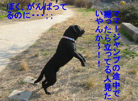 画像 725 Web 表示用 (中).jpg