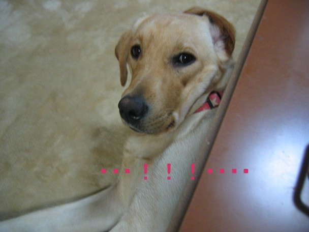 画像 315.jpg