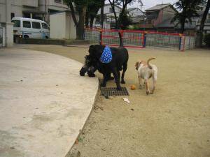 公園2.jpg