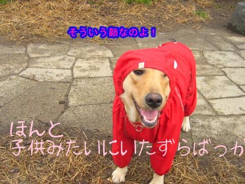 面白い顔
