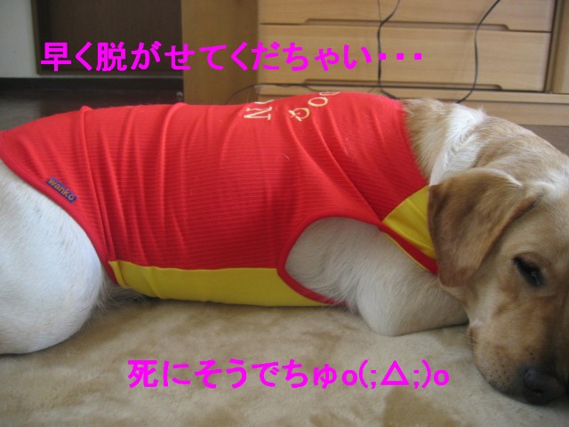 画像 298 Web 表示用 (大).jpg