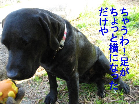 画像 732 Web 表示用 (中).jpg