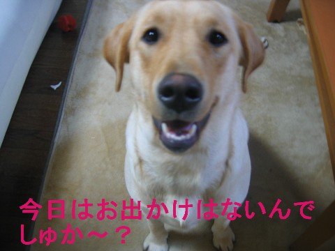 画像 046 Web 表示用 (中).jpg