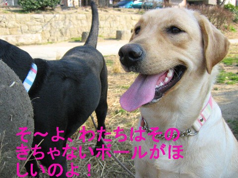 画像 727 Web 表示用 (中).jpg