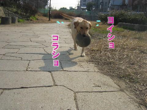 画像 270 Web 表示用 (中).jpg