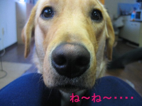 画像 055 Web 表示用 (中).jpg