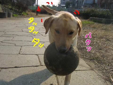画像 271 Web 表示用 (中).jpg