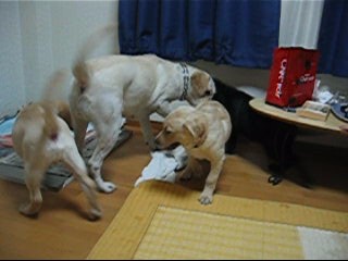紫音 007 001_0001.jpg