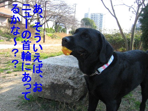 画像 726 Web 表示用 (中).jpg