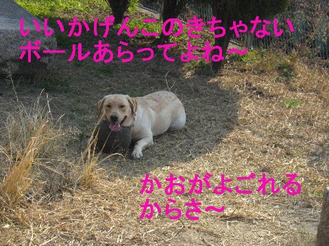 画像 730 Web 表示用 (中).jpg