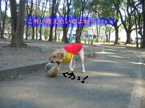 画像 337 Web 表示用 (中).jpg